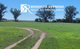 700 ha. en Gualeguaychú